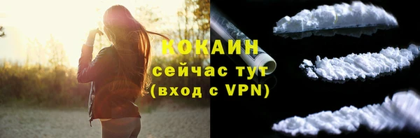 гашик Белоозёрский
