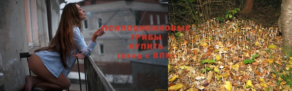 jwh Белокуриха