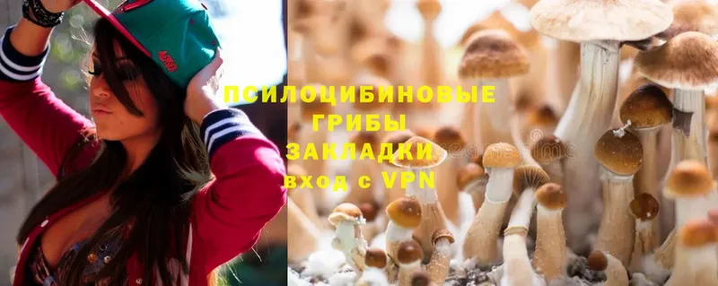 Галлюциногенные грибы Cubensis  Билибино 