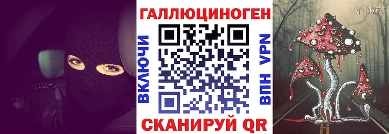 сколько стоит  Билибино  Псилоцибиновые грибы Psilocybine cubensis 